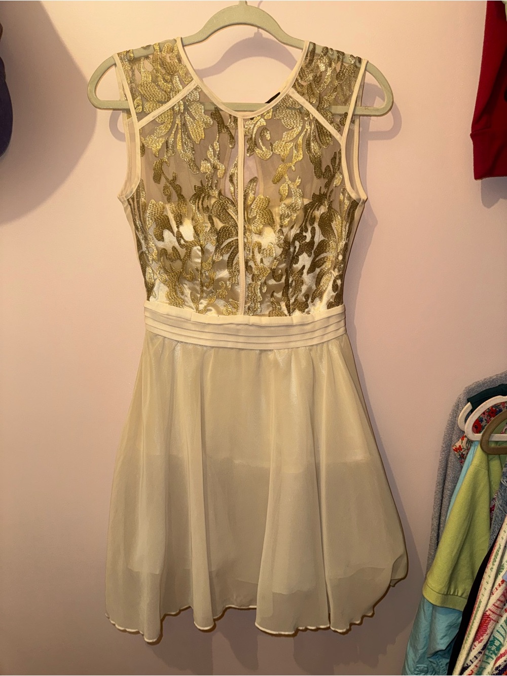 Gold-Embroidered Cream Mini Dress with Sheer Skirt